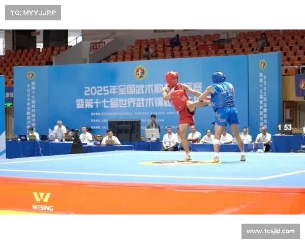 散打王 赛事;散打王赛事